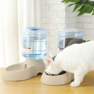 distributeur de nourriture pour chats